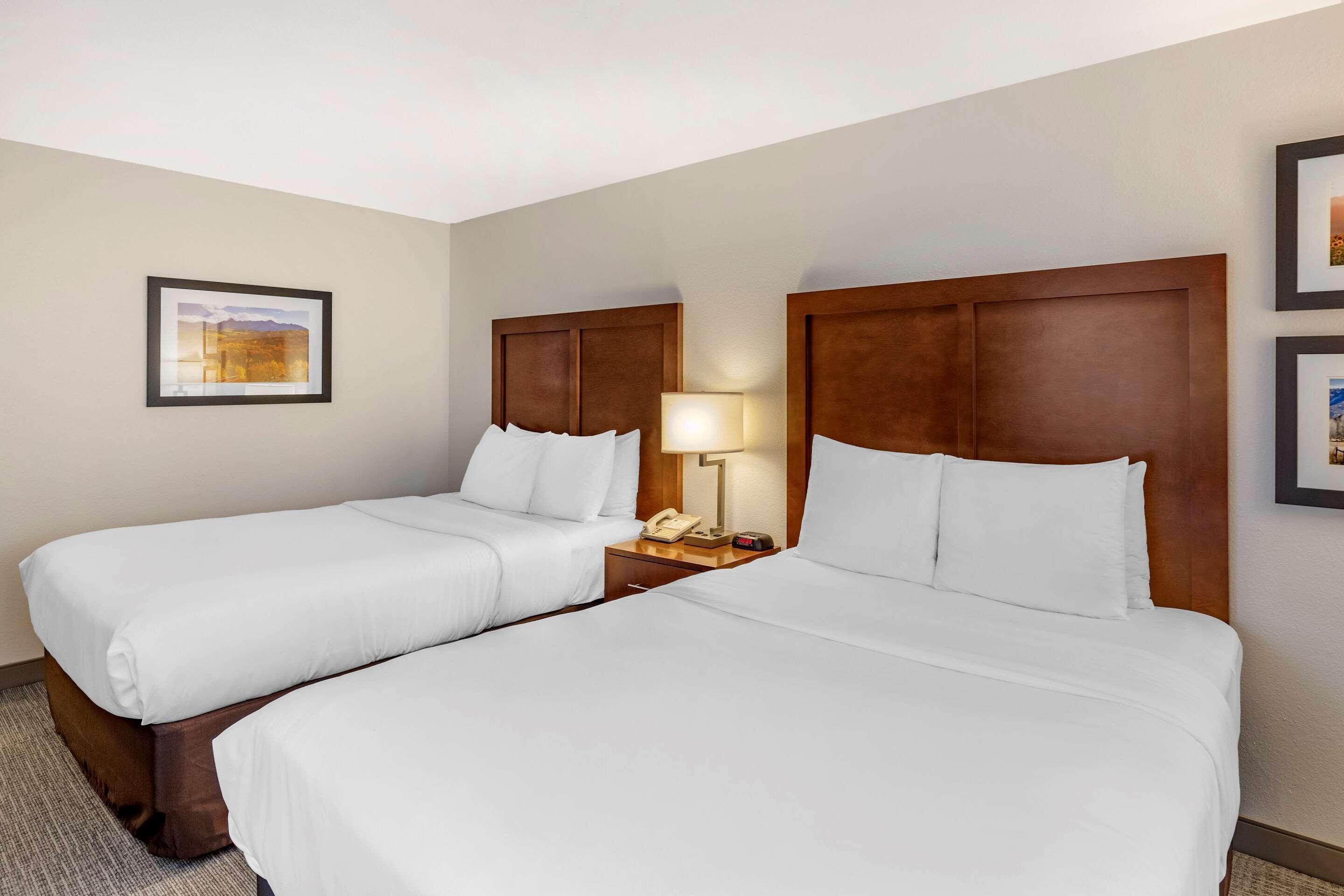 Comfort Inn & Suites Carbondale On The Roaring Fork Exteriör bild