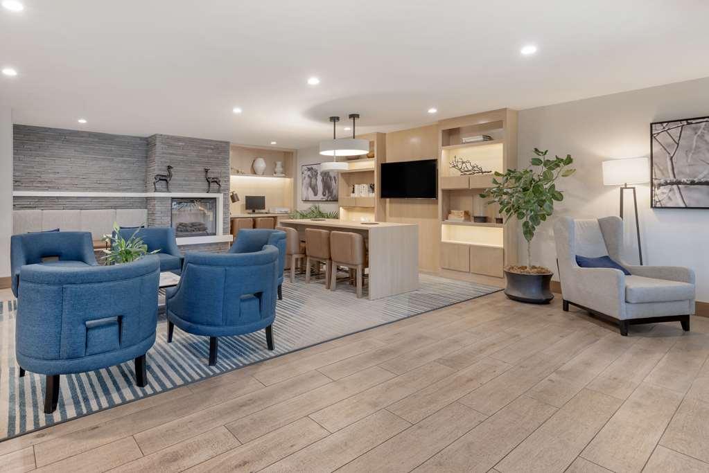 Comfort Inn & Suites Carbondale On The Roaring Fork Inreriör bild