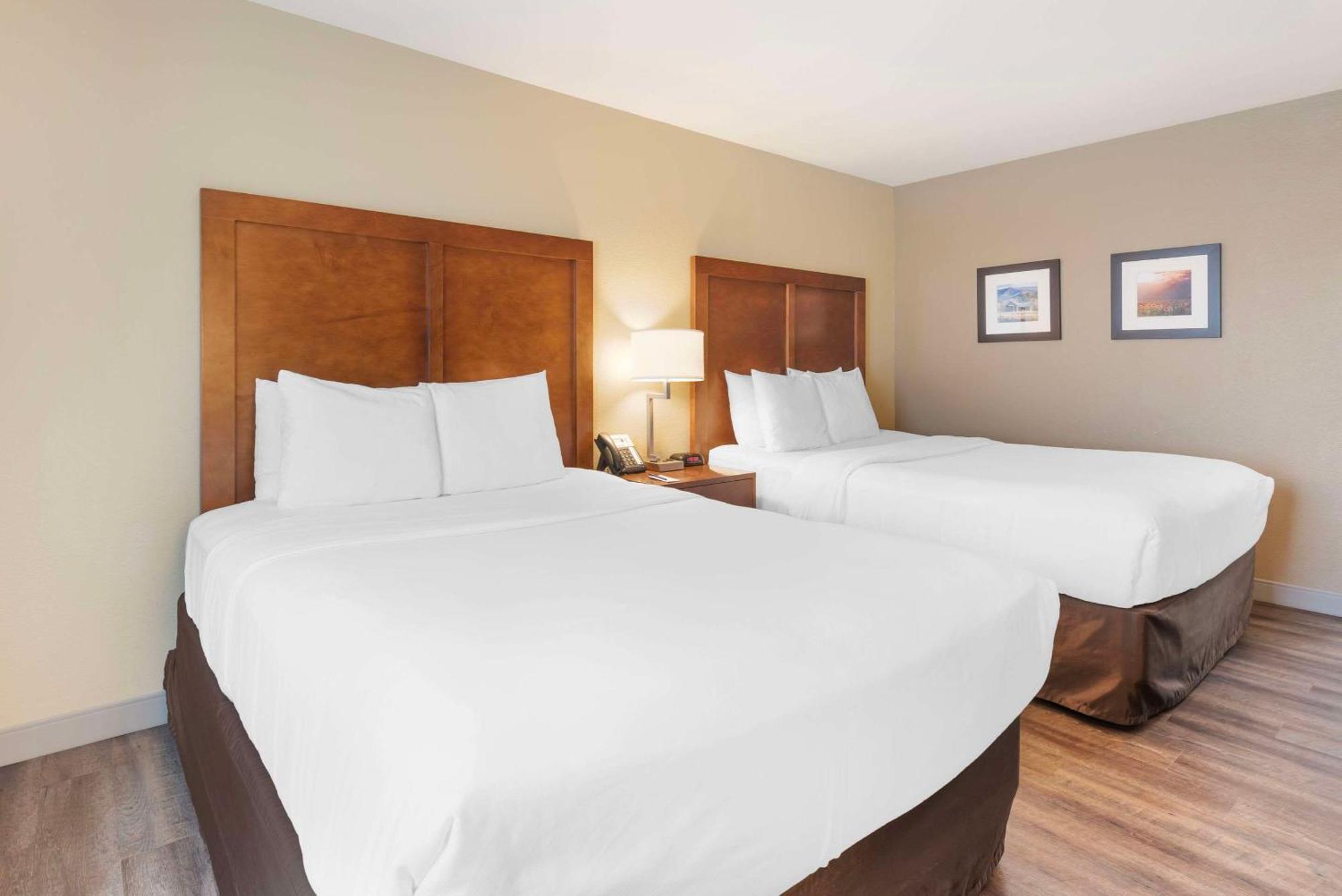 Comfort Inn & Suites Carbondale On The Roaring Fork Exteriör bild
